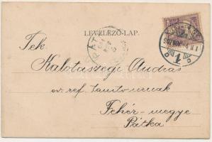 1901 Budapest IV. Újpest, új községháza. L.D.F. (r)