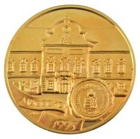 Tóth Sándor (1933-) 1995. "Nagykállói Magy. Kir. Országos Tébolyda 1895-1995" aranyozott b...