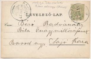 1905 Erdőgyarak, Ghiorac, Csegőd; Tisza kastély / castle in Cighid. photo (szakadás / tear)