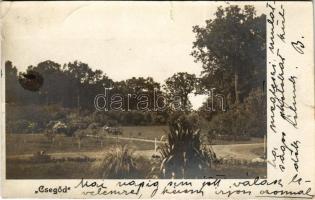 1905 Erdőgyarak, Ghiorac, Csegőd; Tisza kastély parkja / castle park in Cighid. photo (szakadások / tears)