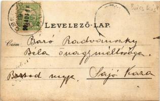 1905 Erdőgyarak, Ghiorac, Csegőd; Tisza kastély parkja / castle park in Cighid. photo (szakadások / ...