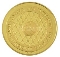 Rónay Attila (1971-) 2003. "Magyarország-Anglia 6:3, 50. évforduló" részben multicolor, aranyozott, jelzett Ag emlékérem, peremén "0086" sorszámmal, kapszulában, eredeti tokban (31,30g/0.999/42,5mm) T:PP