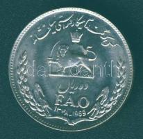 Irán 1969. 10R "FAO" T:2 kis ph