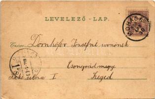 1900 Mohács, Lajos király szobor, mosónők és korsósok, dunai úszó hajómalmok, hajómalom. Schwidernoc...