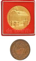 1978. "Nemzeti És Szabadkikötő Budapest 1928-1978" aranyozott bronz emlékérem dísztokban (70mm) + ~1960-1970. "Magyar Hajó és Darugyár 1835" bronz emlékérem (60mm) T:AU