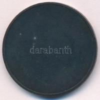 1999. "90 éves a magyar modellezés - MMSZ Hungary" ezüstpatinázott bronz emlékérem (42,5mm...