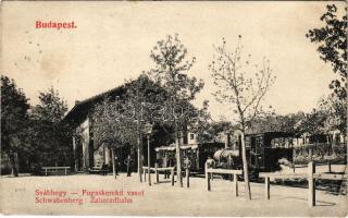 1908 Budapest XII. Svábhegyi Fogaskerekű vasútállomás, gőzmozdony, vonat. Schwarz J. kiadása (EK)