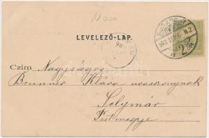 1903 Budapest XII. Svábhegy, Városkúti fogaskerekű vasút megállóhelye vonattal, vasútállomás. Divald...