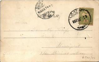 1905 Sajószentpéter, Városháza és környéke, Brody Miksa üzlete, és szabad raktár. Csizy Elemér kiadá...