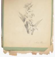 ca 1890 Rajz gyűjtemény, kb 20 db dekoratív klasszikus rajz különböző témákkal. Ceruza, papír 30x40 ...