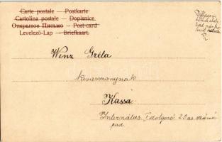 1904 Cigány prímás fiú, magyar folklór / Gypsy violinist boy, Hungarian folklore