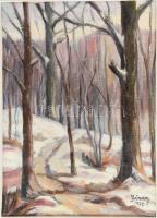 Járay Sándor (1926- ): Erdei táj. Olaj, vászon. Jelzett. Fakeretben, 36x27 cm Paszpartu felpúposodot...