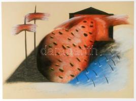 Stefanovits. A művész, Stefanovits Péter (1947-) Munkácsy Mihály-díjas magyar grafikus által Matits ...