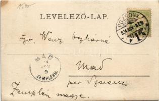 1904 Bajmócfürdő, Bojnické kúpele (Bajmóc, Bojnice); vár egyik ajtaja / castle, entrance. photo (EK)