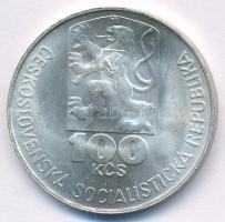 Csehszlovákia 1978. 100K Ag "Julius Fucik születésének 75. évfordulója" T:AU Czechoslovaki...
