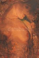 Burkus József (1957-): Érints meg (női akt). Olaj, farost. Jelzés nélkül. Hátoldalán autográf felira...