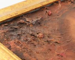 Burkus József (1957-): Érints meg (női akt). Olaj, farost. Jelzés nélkül. Hátoldalán autográf felira...