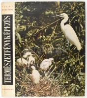 Tildy Zoltán: Természetfényképezés. A korszerű negatív-pozitív eljárásról szóló részt írta: Dobrányi Géza. Bp.,1964,Gondolat. Kiadói egészvászon-kötés, papír védőborítóval