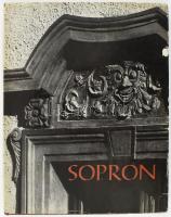 Csatkai Endre: Sopron. Bp., 1971, Képzőművészeti Alap. Kiadói egészvászon-kötés,jó állapotban. kiadói, enyhén sérült papír védőborító.