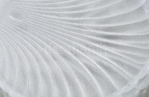 Régi osztrigakínáló tál szett, 6 db, 22x21 cm