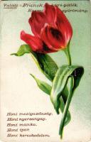 Valódi Frank kávé-pótlék reklámja. Kassai gyártmány. Honi mezőgazdaság, honi nyersanyag, honi munka, honi ipar, honi kereskedelem. Tulipán / Franck coffee-substitute advertisement, tulip, litho (fa)