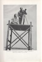 Homoki-Nagy István: 
Gyöngyvirágtól lombhullásig. Színes filmmel vadmadarak után. (Egy természetfil...