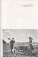 Homoki-Nagy István: 
Gyöngyvirágtól lombhullásig. Színes filmmel vadmadarak után. (Egy természetfil...