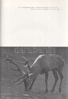 Homoki-Nagy István: 
Gyöngyvirágtól lombhullásig. Színes filmmel vadmadarak után. (Egy természetfil...