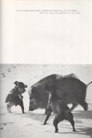 Homoki-Nagy István: 
Gyöngyvirágtól lombhullásig. Színes filmmel vadmadarak után. (Egy természetfil...