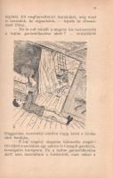 Zih Sándorné: 
A Göncölszekér. Elbeszélés az ifjúság számára. I-II. kötet. [Teljes mű két kötetben....