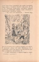 Zih Sándorné: 
A Göncölszekér. Elbeszélés az ifjúság számára. I-II. kötet. [Teljes mű két kötetben....