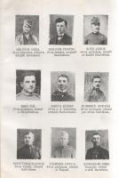 Somogyvármegye Almanachja 1916. Tizenegyedik évfolyam. Szerkeszti Sebők Jenő.
Kaposvár, 1916. Somog...