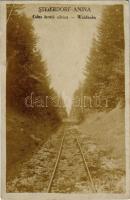 Stájerlak, Steierlak, Stájerlakanina, Steierdorf, Anina; Calea ferata silvica / Waldbahn / Erdei vasút, iparvasút / forest railway, industrial railway. Hollschütz (EB)