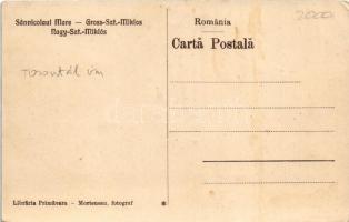 Nagyszentmiklós, Sannicolau Mare; Nákó kastély / castle (EK)