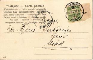 1904 Boldog Újévet / New Year greeting art postcard with pig and wheelbarrow. litho (fl)