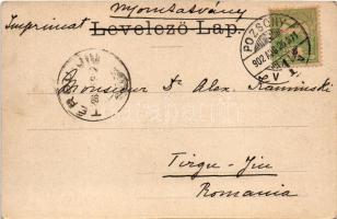 1902 Pozsony, Pressburg, Bratislava; Sétatér, Johann Nepomuk Hummel szobor (1911-ben került a helyér...