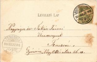 1904 Besztercebánya, Banská Bystrica; Garam part. Ivánszky Elek kiadása / Hron riverside (fl)