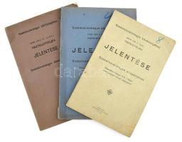 1912-1919 Szabolcsvármegye alispánjának jelentése Szabolcs vármegye közigazgatásának állapotáról, 3 db. Nyíregyháza, Jóba Elek-ny., 25 p., 92 p., 74 p. Kiadói papírkötés, változó állapotban.