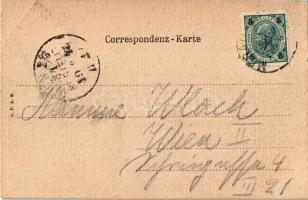 1902 Merano, Meran (Südtirol); Zenoburg / castle. J. F. A. B. Art Nouveau, litho frame with coat of ...