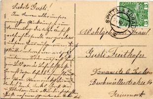 1911 Spittal an der Drau, Bahnhofstrasse, Hotel Stegmüller