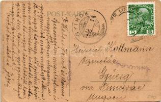 1911 Dolní Lipová, Nieder Lindewiese (Lipová-lázne); Schroth'sche diätetische Kuranstalt, Kurre...