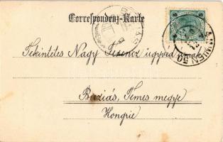 1903 Wien, Vienna, Bécs; Theater a.d. Wien / theatre, market (fl)