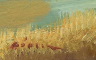 Gádor Emil (1911-1998): Őszi táj. Olaj, farost, jelezve balra lent. Fakeretben, 30×39,5 cm