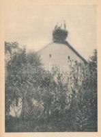 K. Nagy Sándor: Ne bántsd az állatot! Az állatvédő törvények példákban. A szerző által DEDIKÁLT péld...