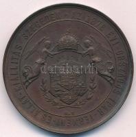 1876. "A 1876 évi Országos Ipar-termény- és Állat-kiállítás Szegeden / Érdem Érem" kétoldalas bronz díjérem (50mm) T:AU,XF kis patina