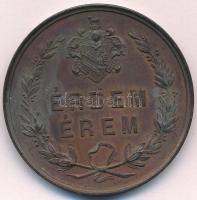 1876. "A 1876 évi Országos Ipar-termény- és Állat-kiállítás Szegeden / Érdem Érem" kétolda...