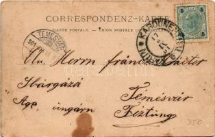 1901 Praha, Prag; Der Wenzelsplatz / square, tram, shop of A. Bauer (fl)