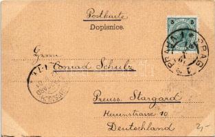 1901 Praha, Prag; Pozdrav z Prahy, Partie pod Letnou (Letná). Art Nouveau, floral litho with coat of...