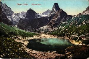 1910 Tátra, Magas-Tátra, Vysoké Tatry; Zöld-tó. Cattarino S. utóda Földes Samu kiadása 174. sz. / Grüner-See / lake (fl)