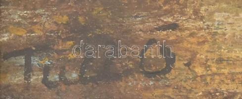 Tull Ö. jelzéssel: Vitorlás. Olaj, farost, kissé sérült üvegezett keretben, cca 19x23 cm